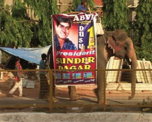 Poster Boys And The Art Of Politics